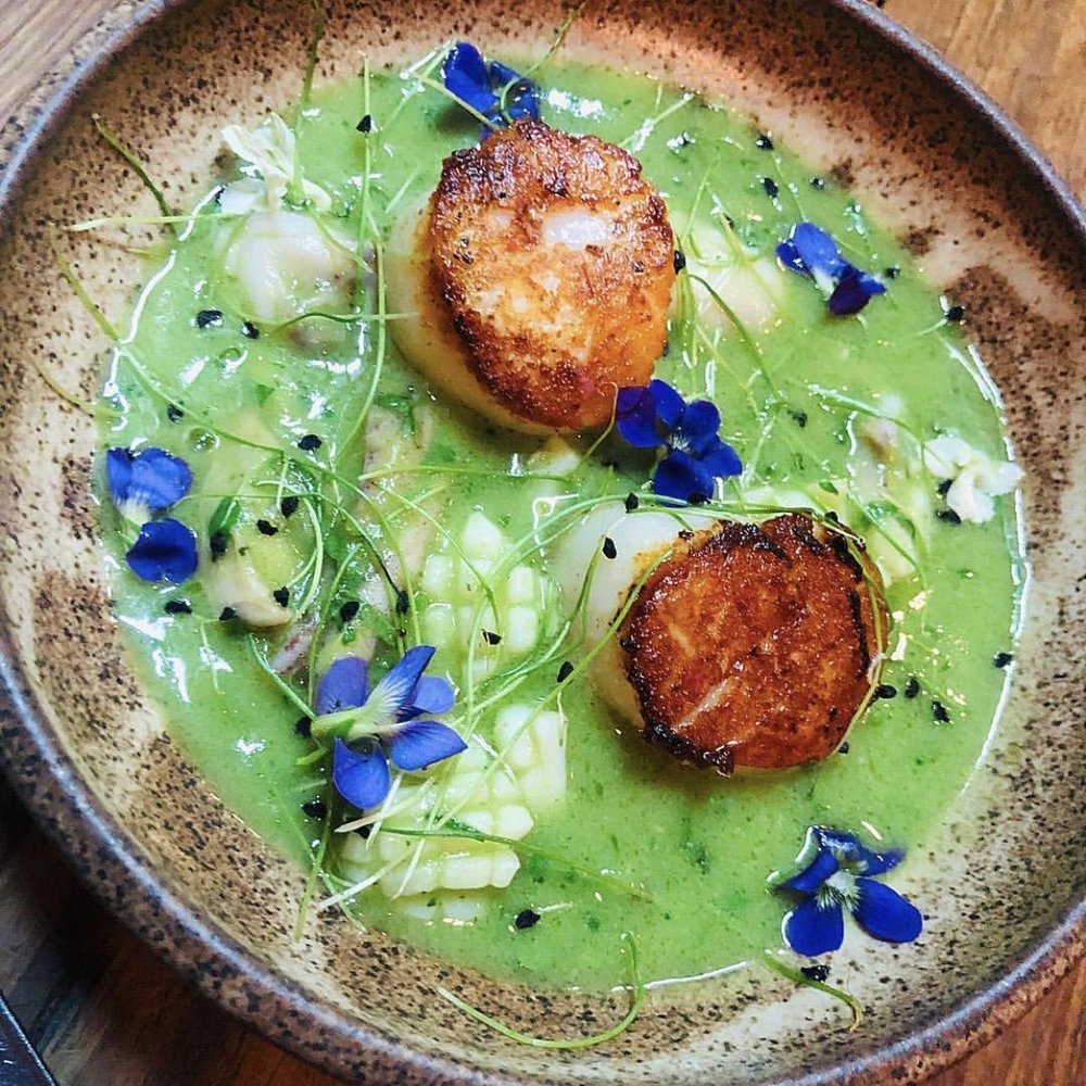 Foraged. A Hyper Seasonal Eatery - New American Near Me - Baltimore, Maryland