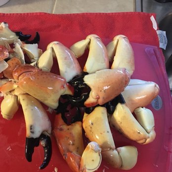 Seafood Connection - The perfect stone crab - Seafood Markets Near Me - Hudson, Florida Seafood Connection - The perfect stone crab - Seafood Markets Near Me - Hudson, Florida