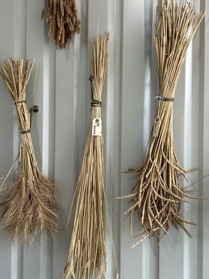 Barton Springs Mill by null