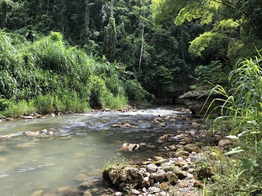 Tanama River Adventures by null