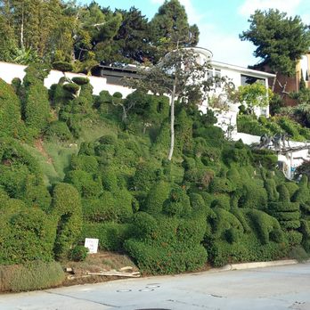 Harper's Topiary Garden - Another angle - Botanical Gardens Near Me - San Diego, California Harper's Topiary Garden - Another angle - Botanical Gardens Near Me - San Diego, California