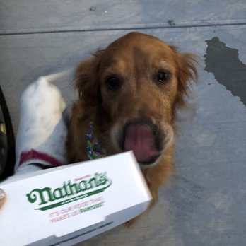 Nathan's Famous - Hot Dogs Near Me - Brooklyn, New York Nathan's Famous - Hot Dogs Near Me - Brooklyn, New York