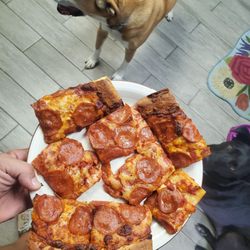 Bristol Pizza - When your family transports an entire Bristol Pizza back to San Diego!