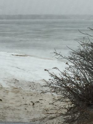 Joseph Sylvia State Beach by null