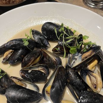 On Swann - Mussels - Bars Near Me - Tampa, Florida