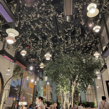 Marisi - Italian Near Me - La Jolla, California
