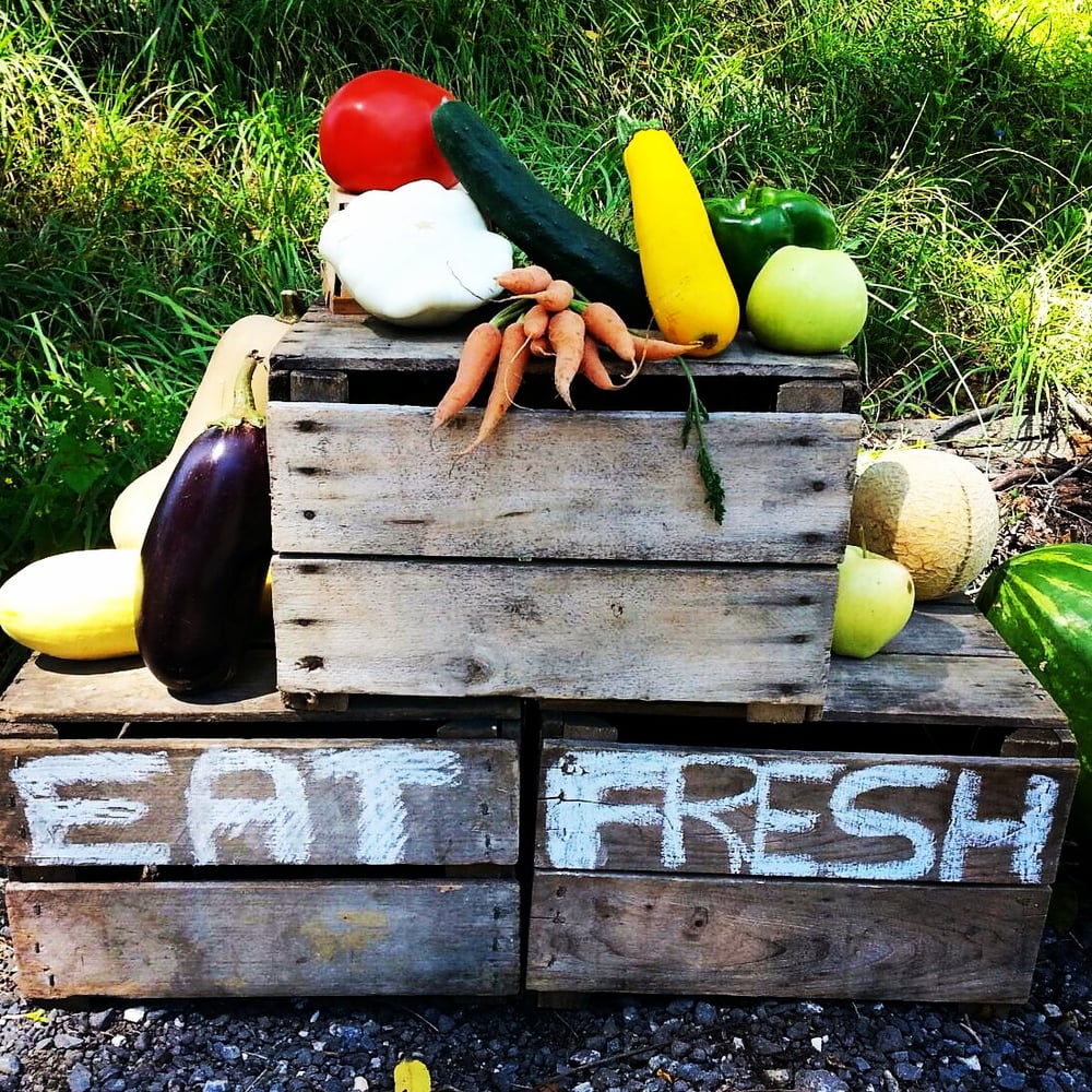 Manor Produce Logo