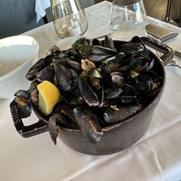 Mussels Mussels