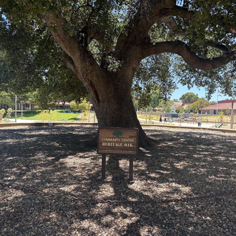 Sunnyvale Community Center - Ah nice shade as Sunnyvale gets hot - Community Centers Near Me - Sunnyvale, California Sunnyvale Community Center - Ah nice shade as Sunnyvale gets hot - Community Centers Near Me - Sunnyvale, California