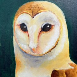 Drawn2Art - Age 12, Acrylic