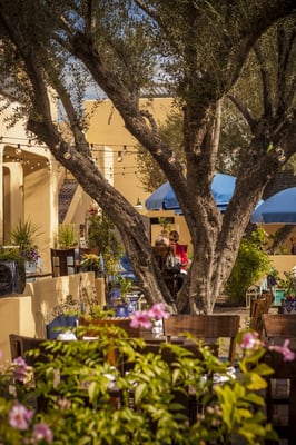 Bespoke Inn Scottsdale by null