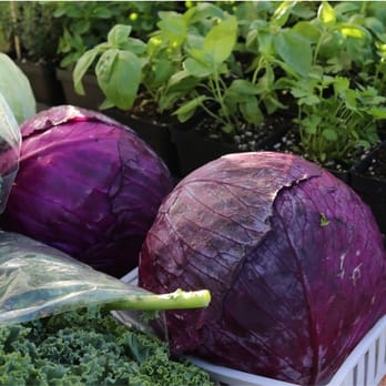 Georgetown Farmers Market - We produce everything we sell! - Farmers Market Near Me - Georgetown, Texas