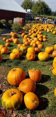 Oregon Heritage Farms by null