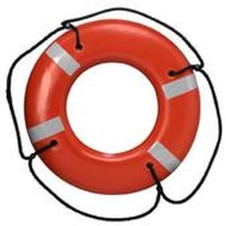 Dan Berman Writing & Editing Services - Looking for a Lifesaver?