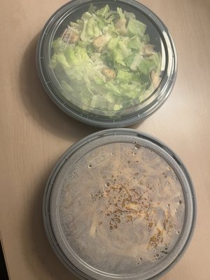 La Fontana Della Citta by null