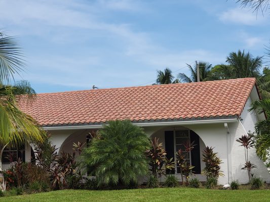 Roof jobs - For a dirty roof I am your solution. With a soft washing your tiles will not be ruined and the results will be amazing. Roof jobs - For a dirty roof I am your solution. With a soft washing your tiles will not be ruined and the results will be amazing.