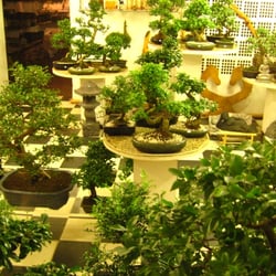 Bonsai-Garten