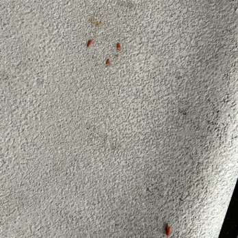 Great Wolf Lodge - Balcony doesn't get cleaned! - Resorts Near Me - Colorado Springs, Colorado Great Wolf Lodge - Balcony doesn't get cleaned! - Resorts Near Me - Colorado Springs, Colorado