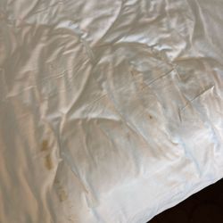 Delta Hotels by Marriott London Armouries - Stains that are yellow and brown and there is black spots there to