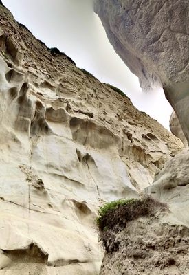 La Jolla Trail by null
