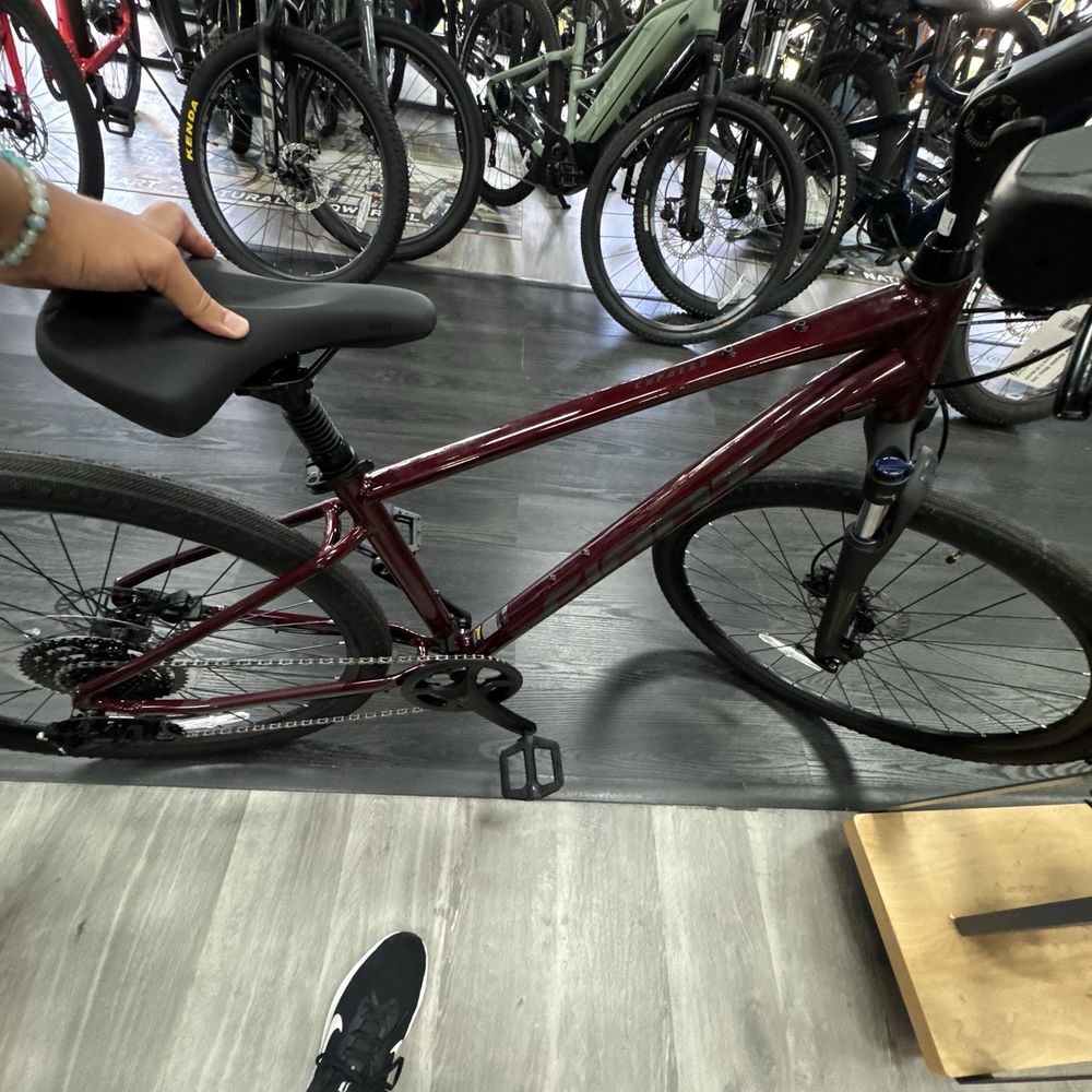 Great Bicycle Shop - Beautiful bike I got from them after giving it a nice test ride around - Bikes Near Me - Tallahassee, Florida Great Bicycle Shop - Beautiful bike I got from them after giving it a nice test ride around - Bikes Near Me - Tallahassee, Florida