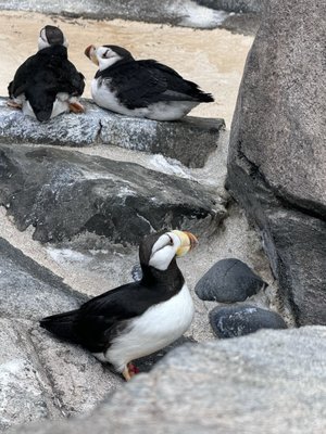 Alaska SeaLife Center by null