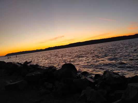 Lighthouse Park by null