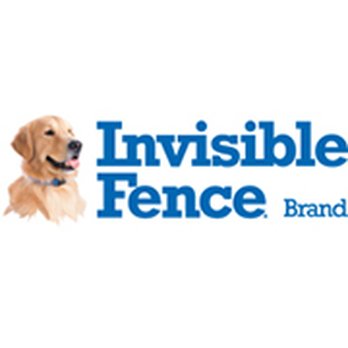Invisible Fence Of The Jersey Shore Pet Training 501 Delaware Ave Egg Harbor Twp Nj Phone Number Invisible Fence Of The Jersey Shore Pet Training 501 Delaware Ave Egg Harbor Twp Nj Phone Number