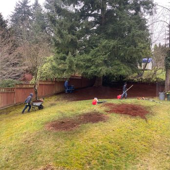 LA landscape - Stump removal - Landscape Architects or Designers Near Me LA landscape - Stump removal - Landscape Architects or Designers Near Me