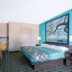 Super 8 by Wyndham Brunswick/South - Guest room
