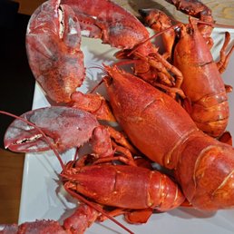 a lobster on a plate