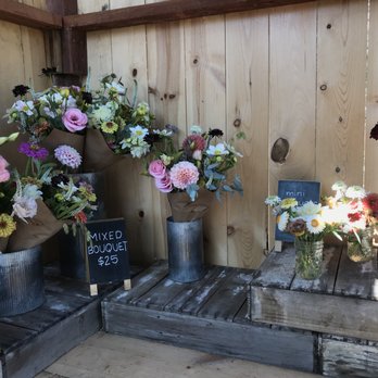 B-Side Farm - Nurseries & Gardening Near Me - Warren, Oregon
