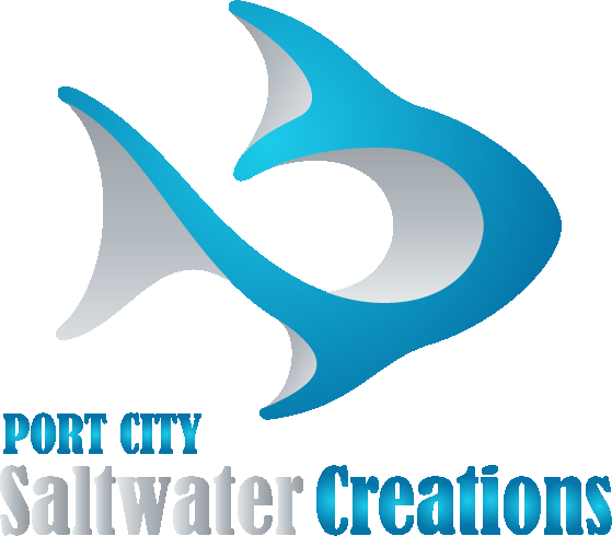 Port City Saltwater Creations Image