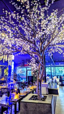 Javier’s Downtown by null