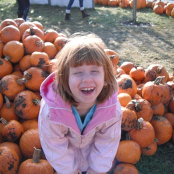 Swan Pumpkin Farm - Pumpkin Patches Near Me - Franksville, Wisconsin