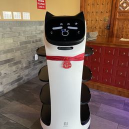 Robot Robot