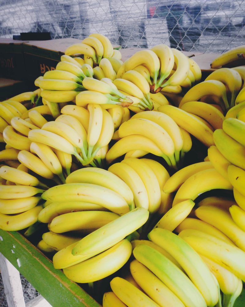 West Wind Solano Swap Meet, Concord | Roadtrippers