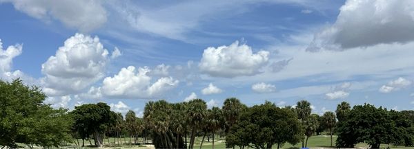 The Park by null