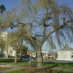 Vallejo City Park - Preservation