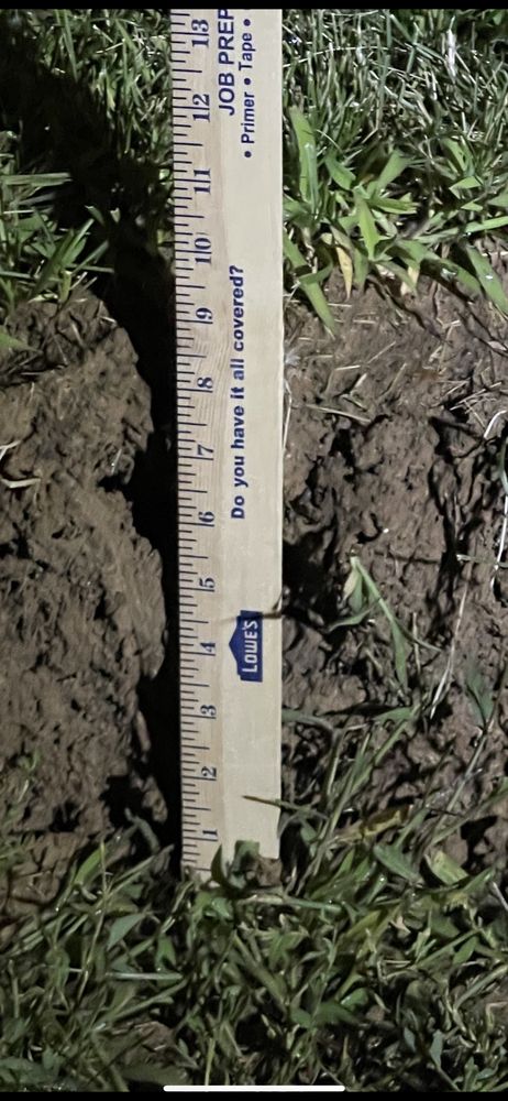 Slide of Rooter Town