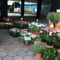 Ruders Blomster