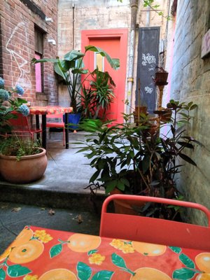 Xolo Taqueria by null