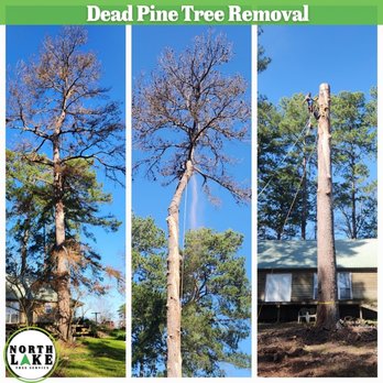 North Lake Tree Service - Tree Services Near Me