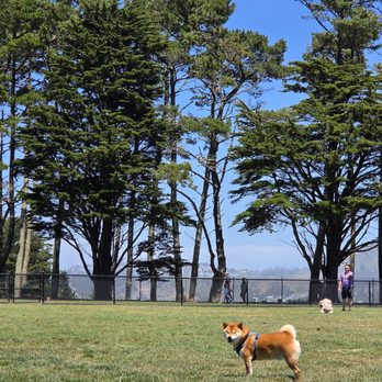 Gellert Park - Gellert Dog Park - Playgrounds Near Me - Daly City, California Gellert Park - Gellert Dog Park - Playgrounds Near Me - Daly City, California
