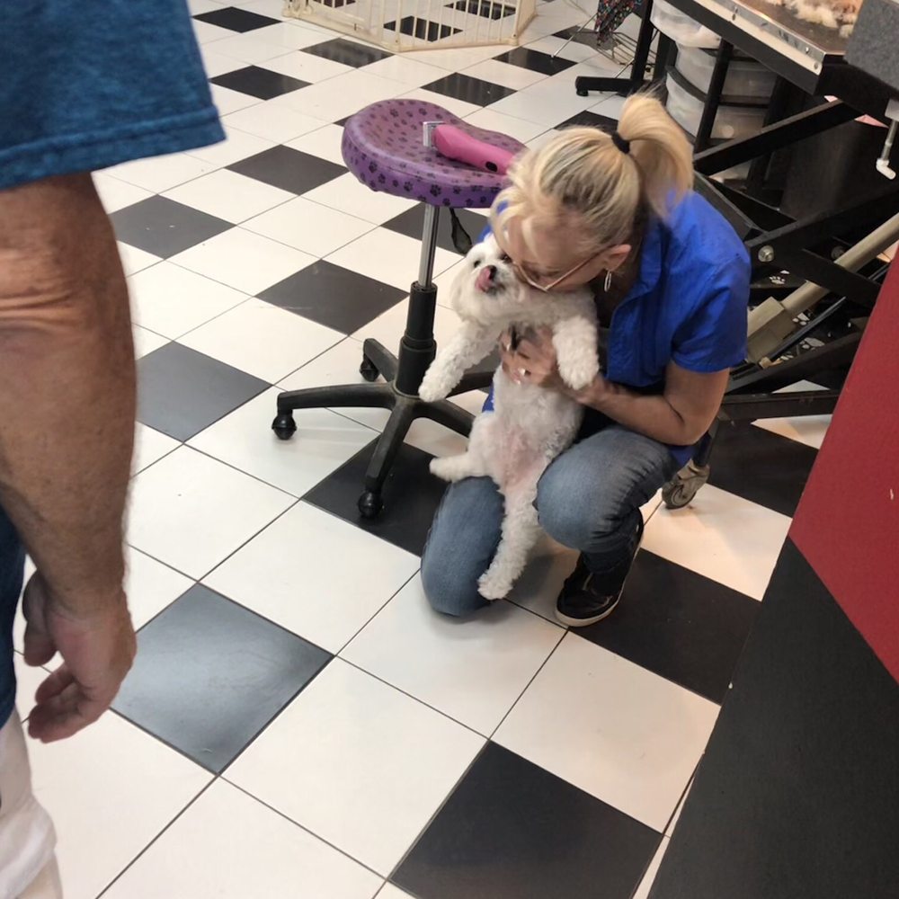 Canine Creations Pet Salon - Pet Groomers Near Me - Lutz, Florida Canine Creations Pet Salon - Pet Groomers Near Me - Lutz, Florida