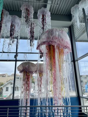 Monterey Bay National Marine Sanctuary Exploration Center by null