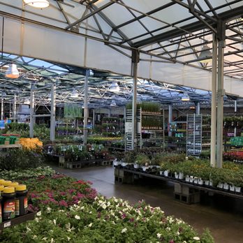 Eden Nursery - Nurseries & Gardening Near Me - Clearwater, Florida