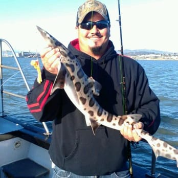Soleman Sportfishing - Fishing was great and the fight these sharks have is amazing! - Boating Near Me - San Francisco, California Soleman Sportfishing - Fishing was great and the fight these sharks have is amazing! - Boating Near Me - San Francisco, California