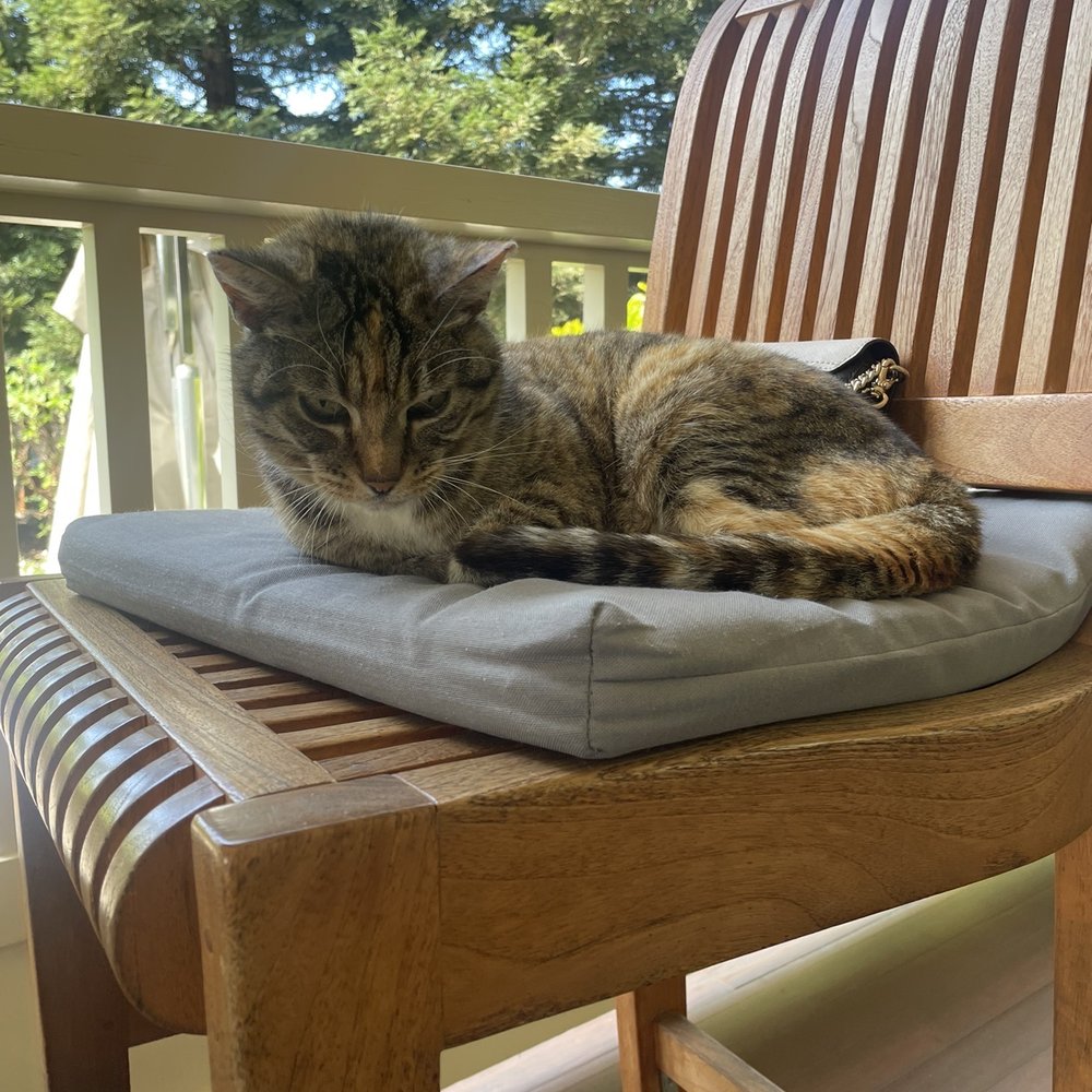 Duckhorn Vineyards - Kitters! - Wineries Near Me - Saint Helena, California Duckhorn Vineyards - Kitters! - Wineries Near Me - Saint Helena, California