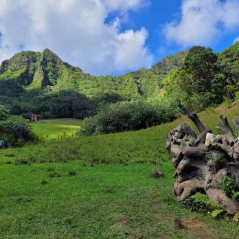 Kualoa Ranch - atv raptor adventure - Tours Near Me - Kaneohe, Hawaii Kualoa Ranch - atv raptor adventure - Tours Near Me - Kaneohe, Hawaii